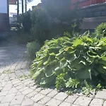 Smyrecek-centrum Bukowiny 民宿 *