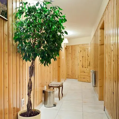 Smyrecek-centrum Bukowiny Bukowina Tatrzańska