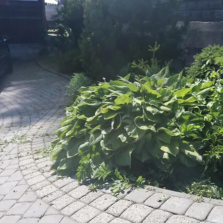 Rum i privatbostad Smyrecek-centrum Bukowiny Bukowina Tatrzańska