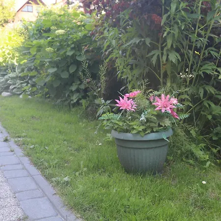 Privat bolig Smyrecek-centrum Bukowiny *