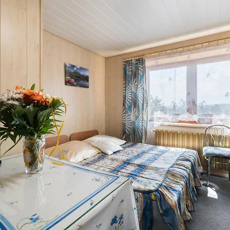 Smyrecek-centrum Bukowiny Rum i privatbostad Bukowina Tatrzańska