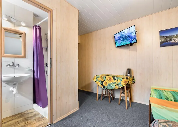 Smyrecek-centrum Bukowiny *