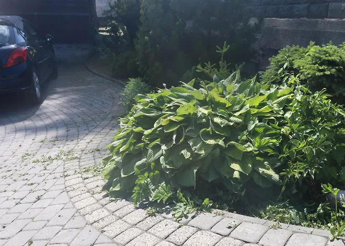 Quarto em Acomodações Particulares Smyrecek-centrum Bukowiny Bukowina Tatrzańska