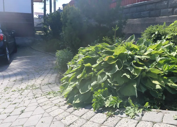 Smyrecek-centrum Bukowiny Quarto em Acomodações Particulares *